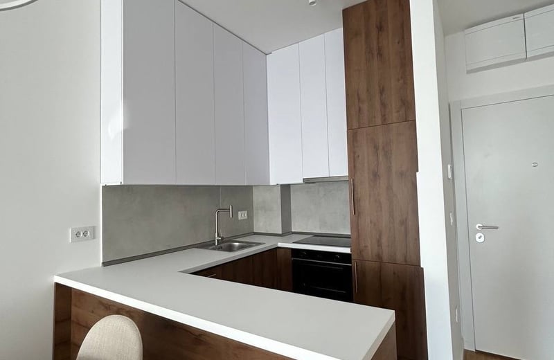 Rent of a furnished 2-room apartment, 45 m², New Belgrade, Serbia